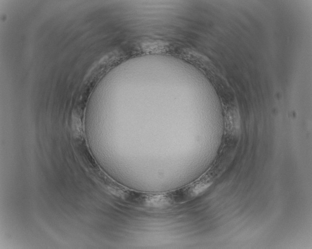 X0000071850705200607211852