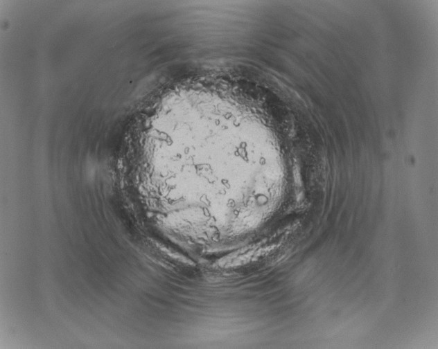 X0000071850707200607211852