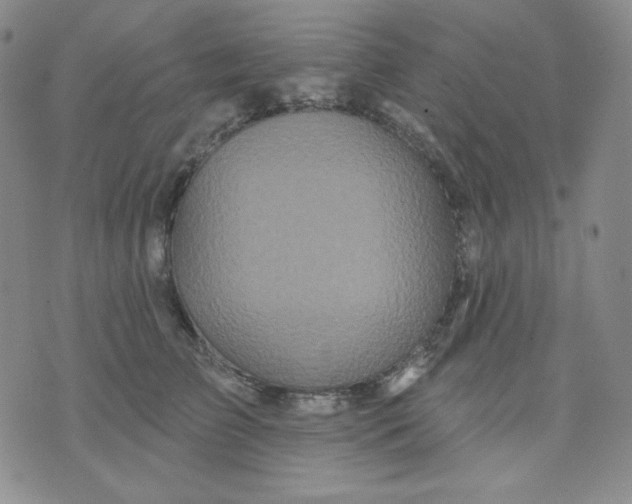 X0000071850709200607211852