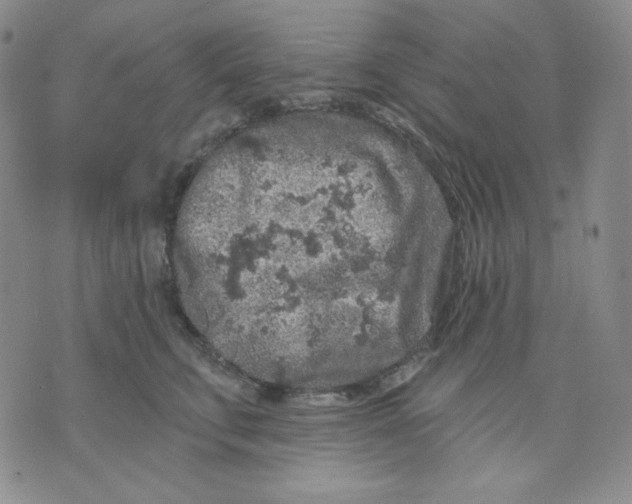 X0000071850711200607211852