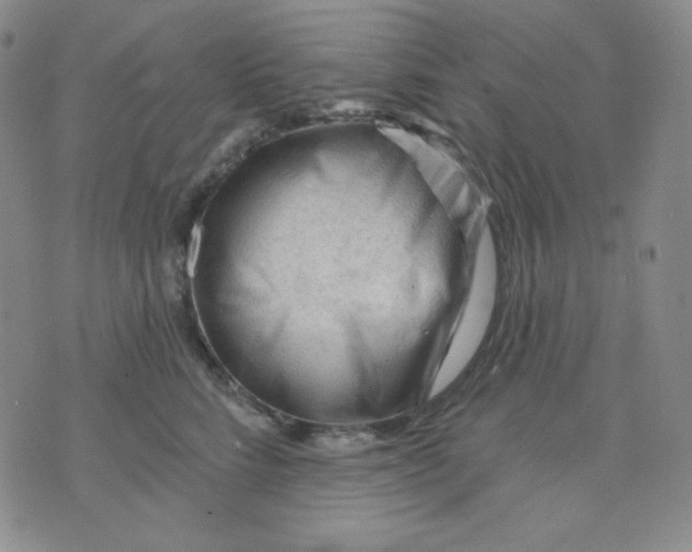 X0000071850712200607211852