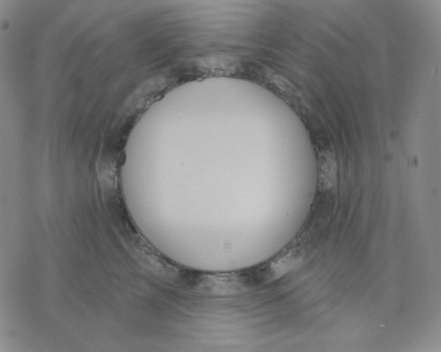 X0000071850713200607211852