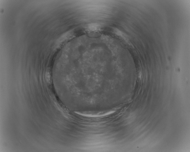 X0000071850715200607211852