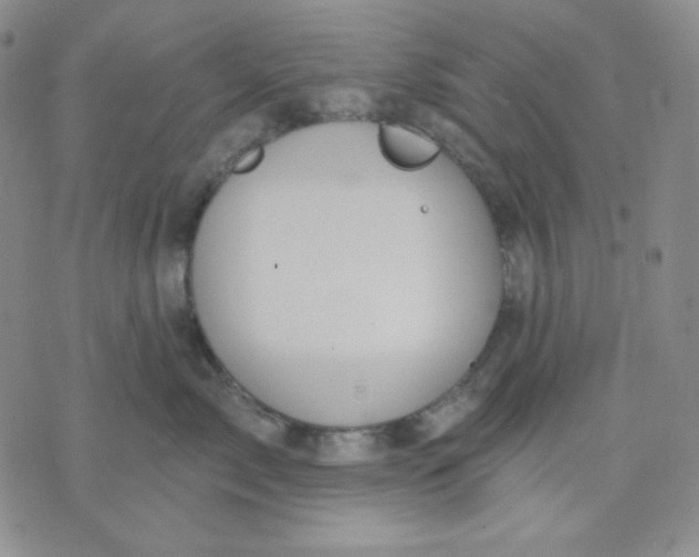 X0000071850717200607211852