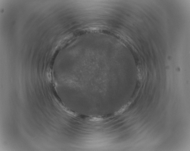 X0000071850718200607211852