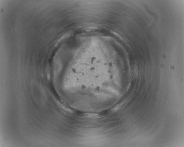 X0000071850719200607211852