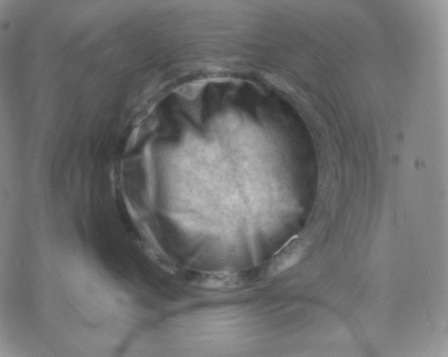 X0000071850720200607211852