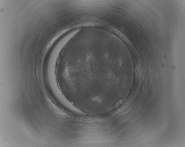 X0000071850722200607211851