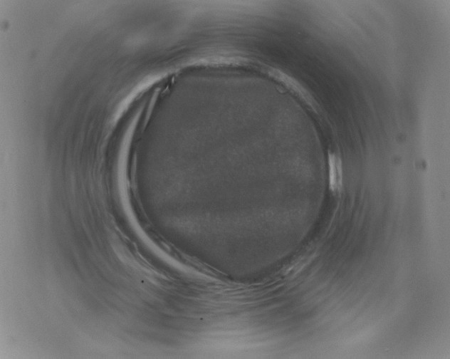 X0000071850723200607211851