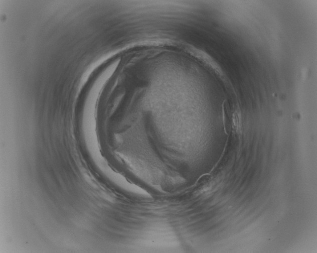 X0000071850724200607211851