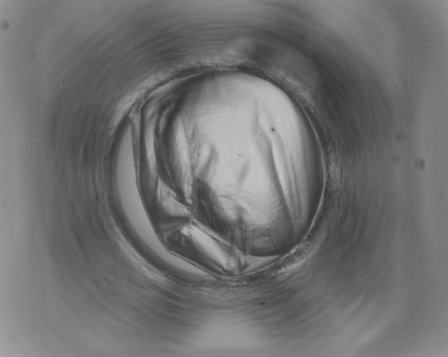 X0000071850725200607211851