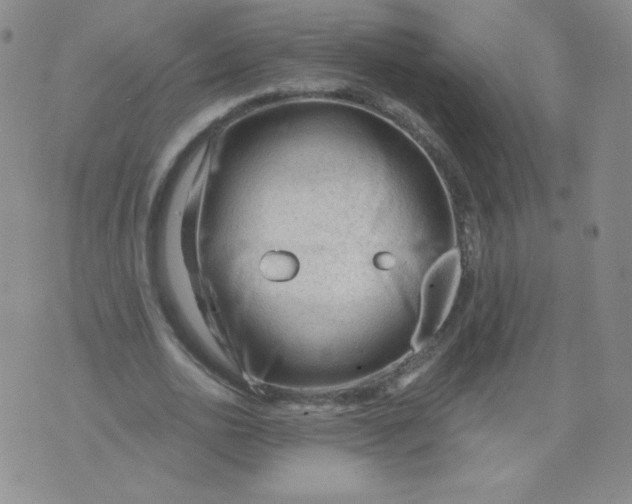 X0000071850726200607211851