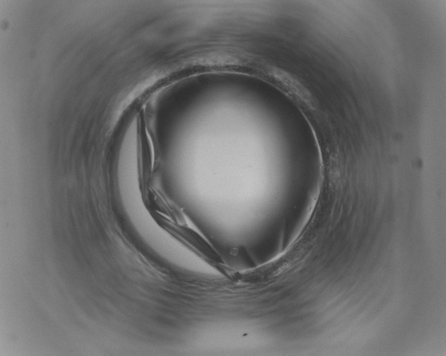 X0000071850727200607211851