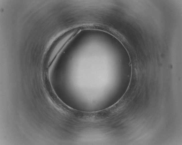 X0000071850728200607211851