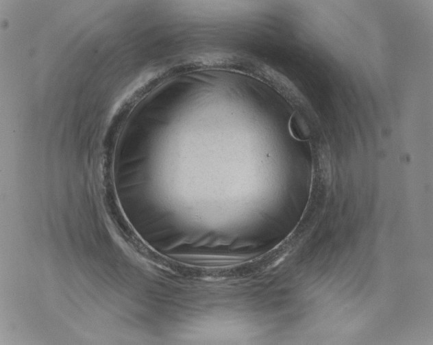 X0000071850730200607211851