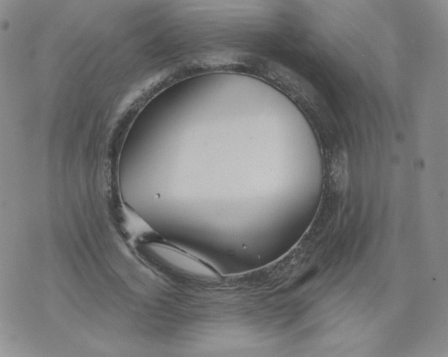 X0000071850732200607211851