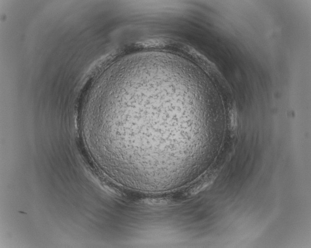 X0000071850733200607211851