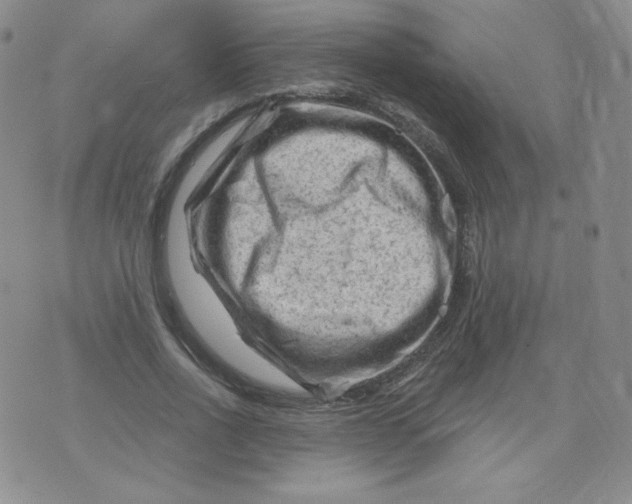 X0000071850734200607211851