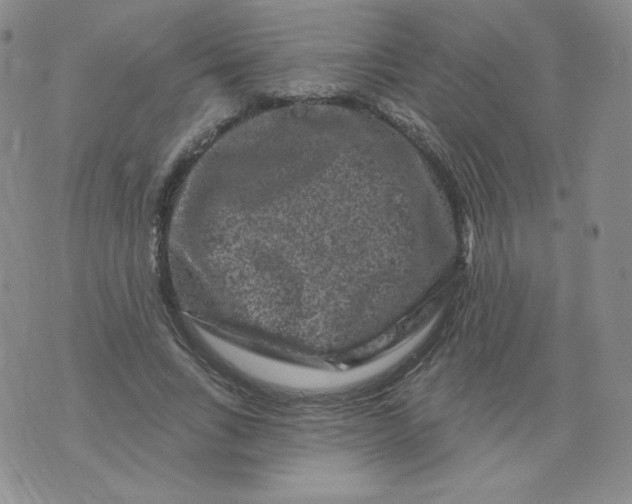 X0000071850735200607211852