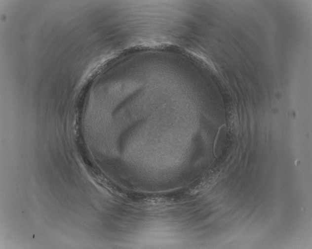 X0000071850736200607211852