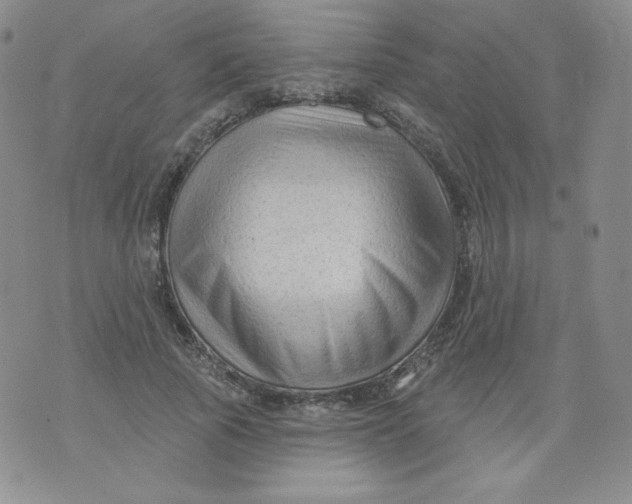 X0000071850737200607211852