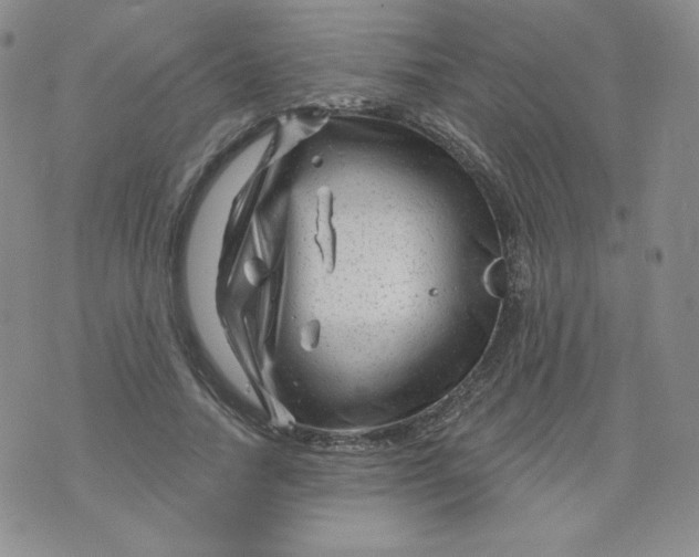 X0000071850738200607211852