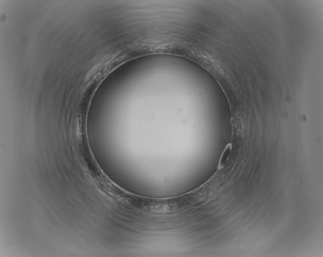 X0000071850740200607211852