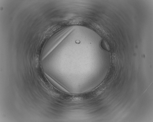 X0000071850741200607211852