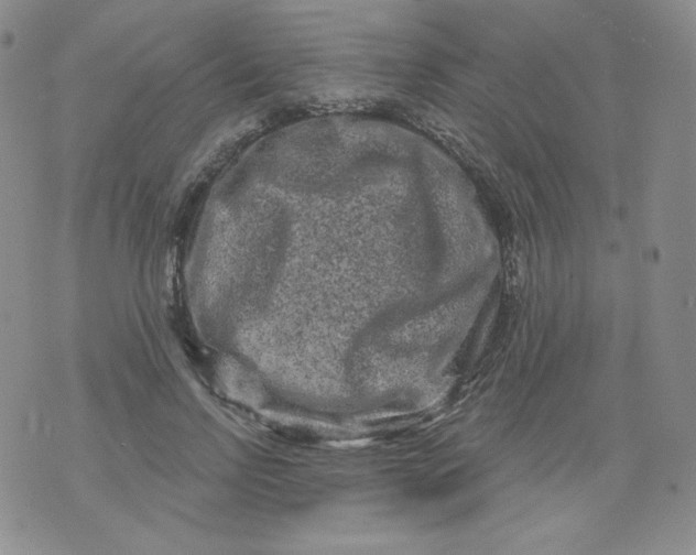 X0000071850742200607211852