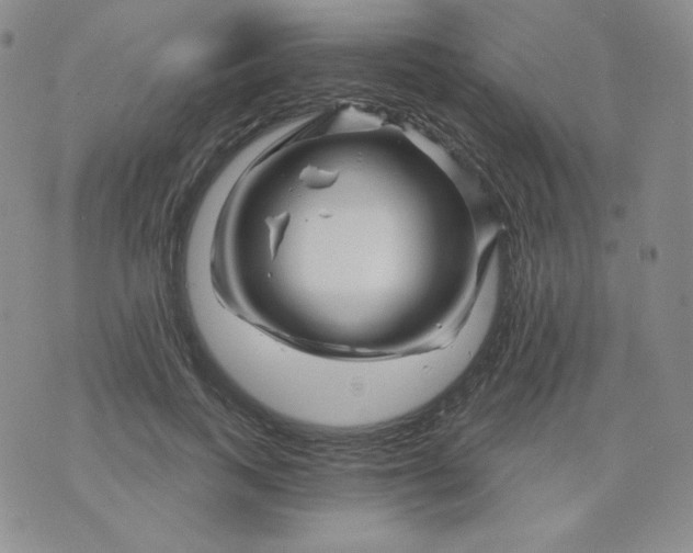 X0000071850743200607211852