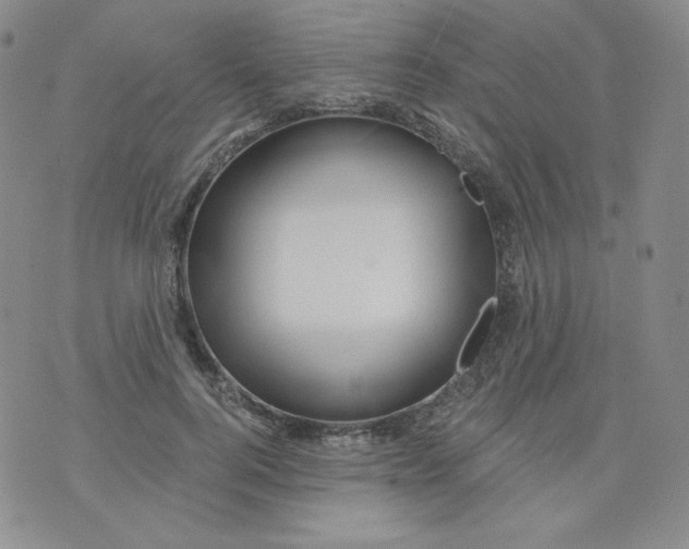 X0000071850744200607211852