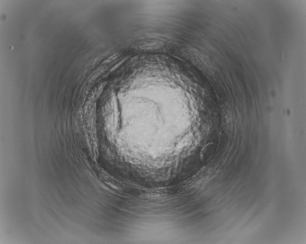 X0000071850745200607211852