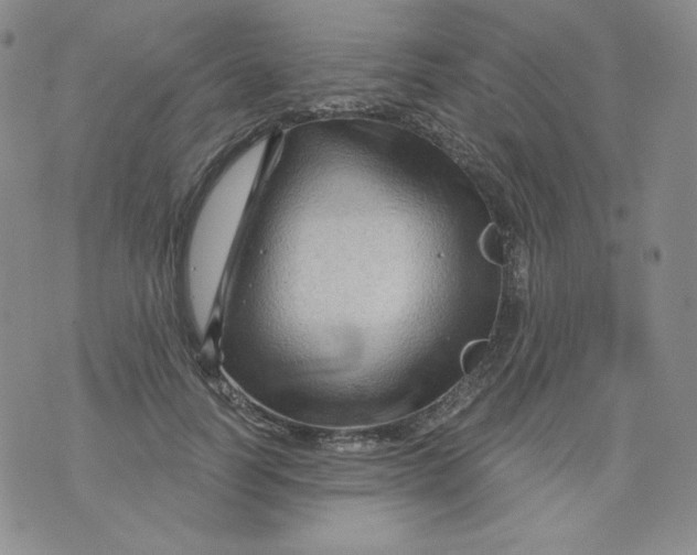 X0000071850746200607211852