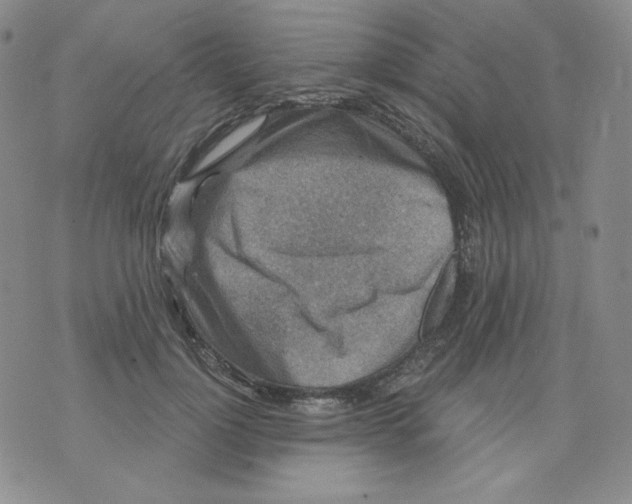 X0000071850748200607211852