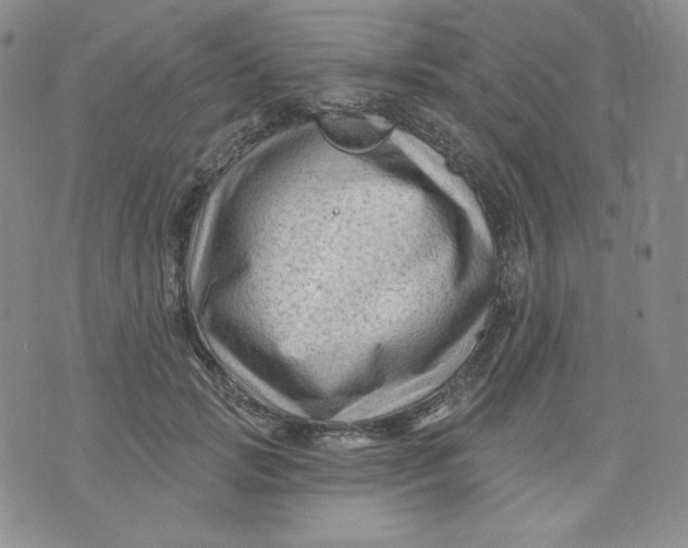 X0000071850749200607211852