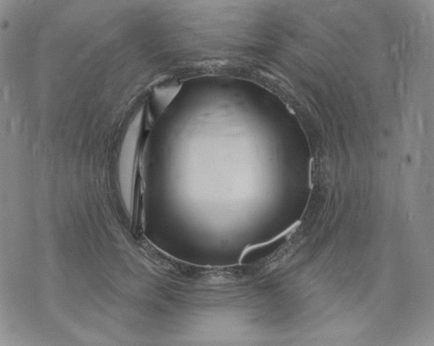 X0000071850750200607211852