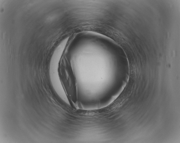 X0000071850751200607211852