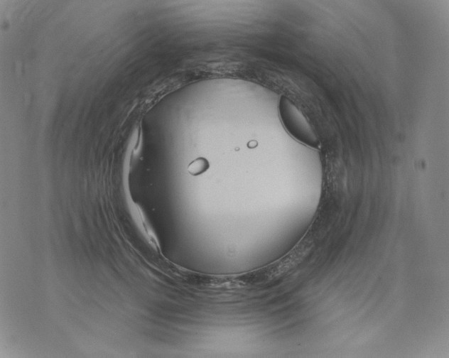 X0000071850752200607211852