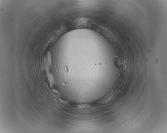 X0000071850753200607211852