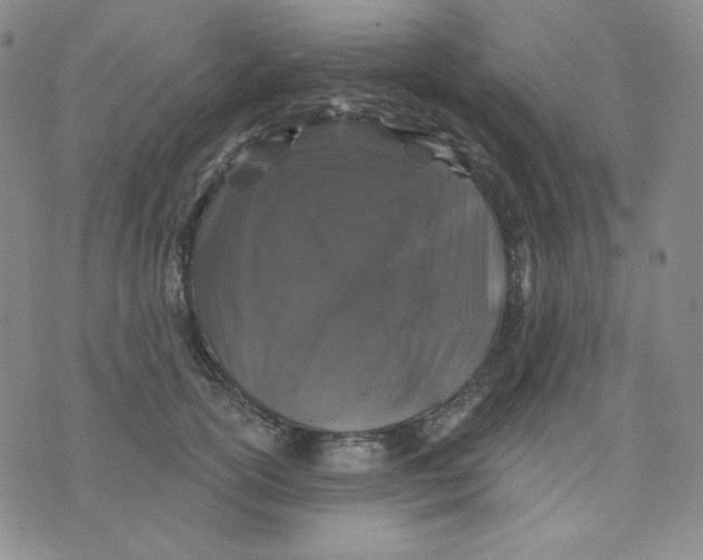 X0000071850754200607211852