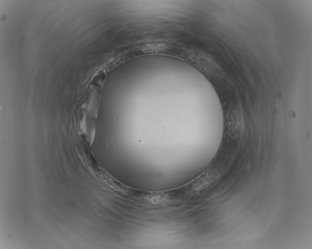 X0000071850755200607211852