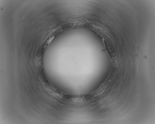 X0000071850756200607211852