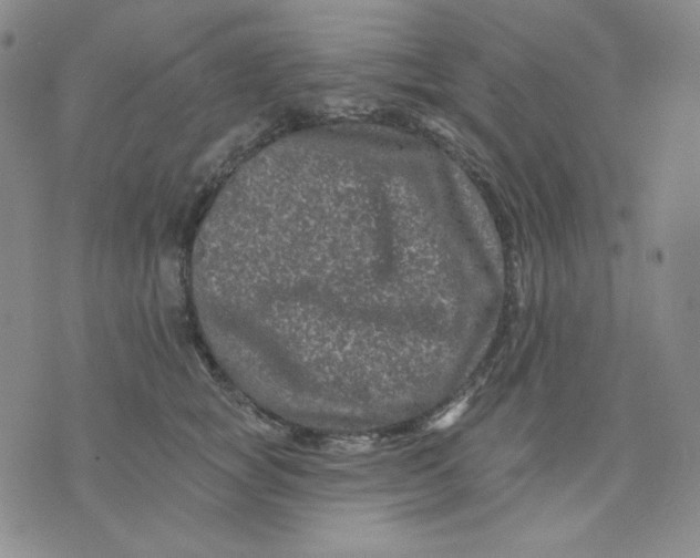 X0000071850757200607211852