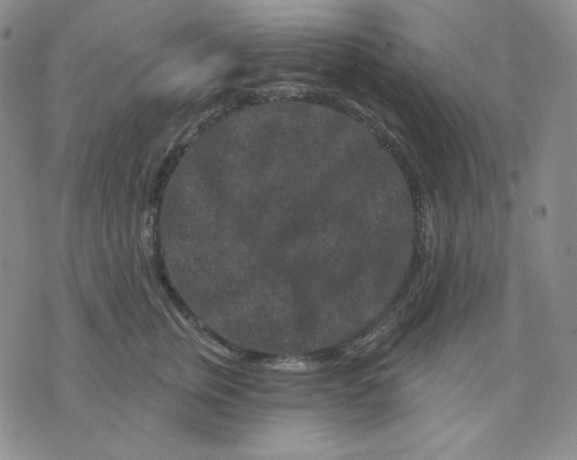 X0000071850759200607211852