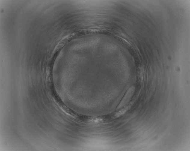 X0000071850760200607211852