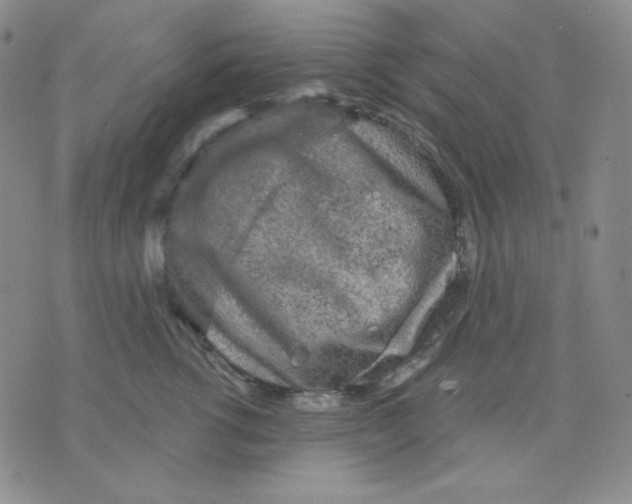 X0000071850762200607211852