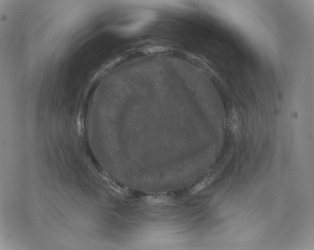 X0000071850763200607211852