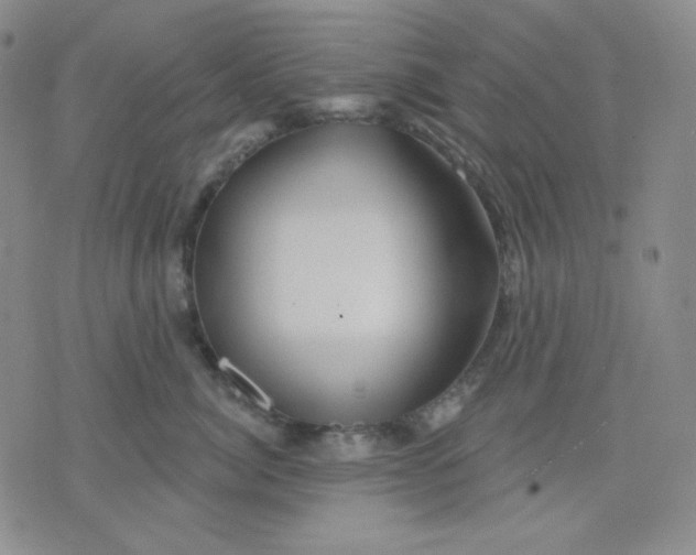 X0000071850764200607211852