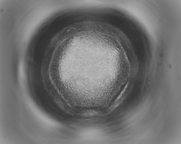 X0000071850765200607211852