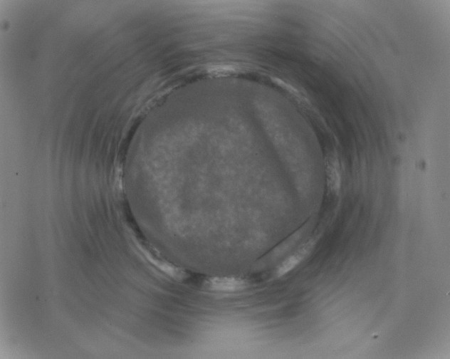 X0000071850766200607211852